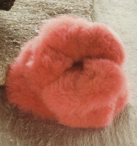 Нежные розы из бисера