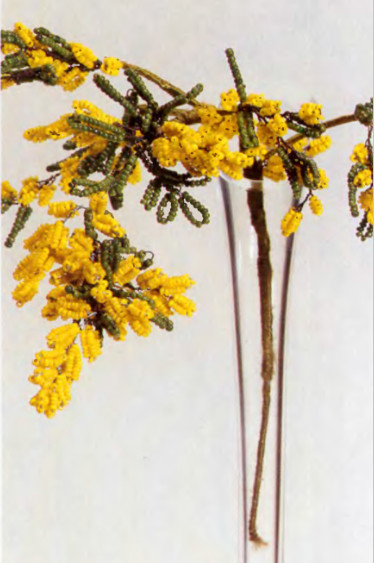 Мимоза из бисера