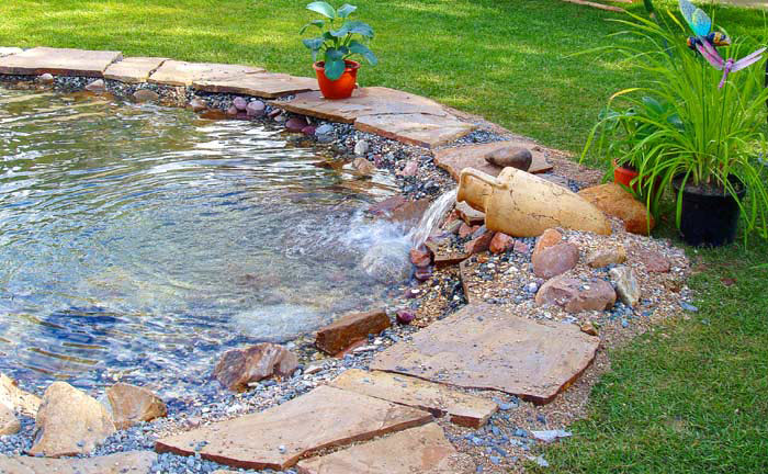 Делаем прудик на даче: детали и рекомендации