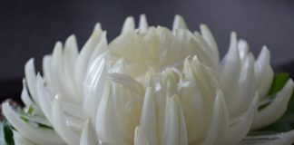 Хризантема из лука