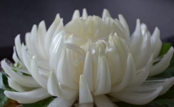 Хризантема из лука