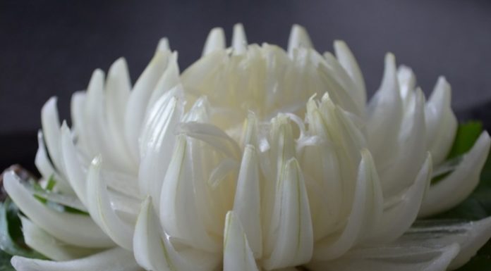 Хризантема из лука