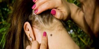 Страховка при укусе клеща