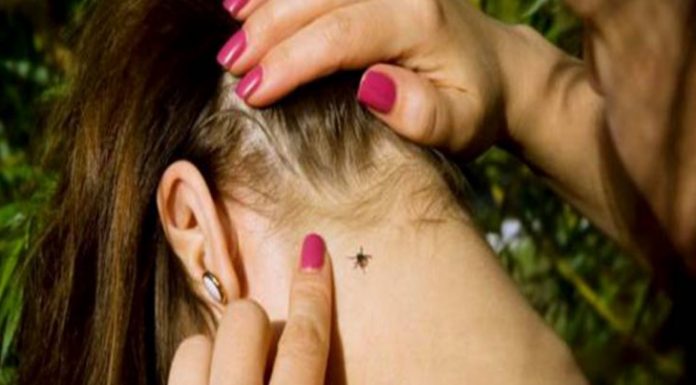 Страховка при укусе клеща