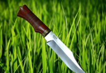 Интернет-магазин Окские Ножи: кому уместно подарить нож на праздник, чем отличаются эксклюзивные ножи