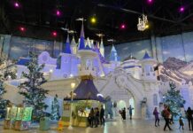 Куда сходить, доехав до Острова мечты