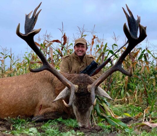Надлежащая этика для охоты на трофейного оленя
