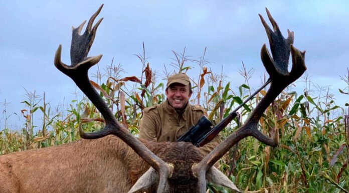 Надлежащая этика для охоты на трофейного оленя