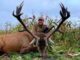 Надлежащая этика для охоты на трофейного оленя