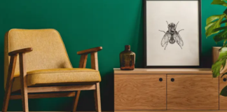 Цвета, которые сочетаются с изумрудно-зеленым: дополнительные цвета