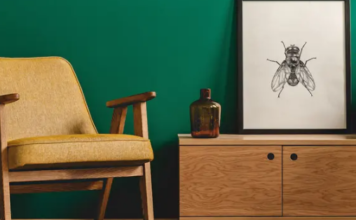 Цвета, которые сочетаются с изумрудно-зеленым: дополнительные цвета