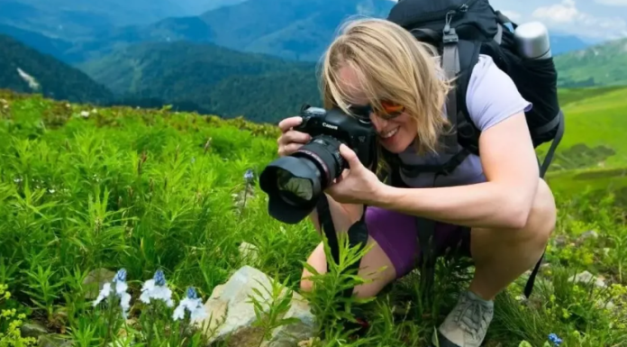 Где отдыхают любители экотуризма в комфортных условиях