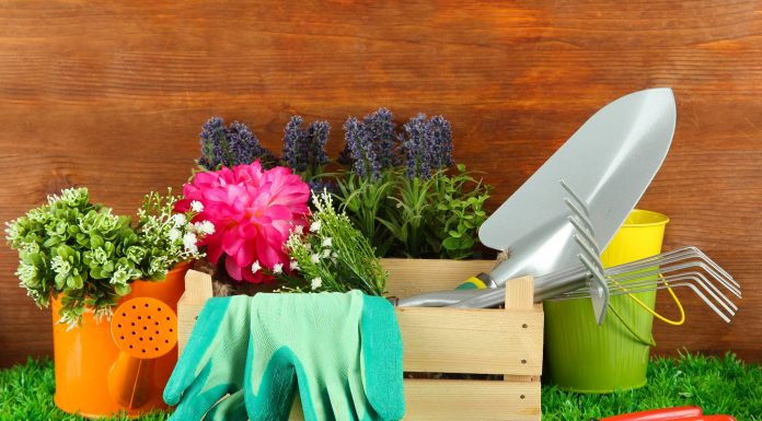 Качественные товары для дома: где купить?