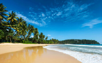 Шри-Ланка из Красноярска: отличные горящие туры и их особенности