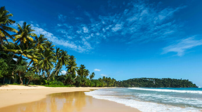 Шри-Ланка из Красноярска: отличные горящие туры и их особенности