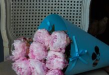 Букет из пионов: роскошь и нежность в каждом лепестке