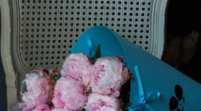 Букет из пионов: роскошь и нежность в каждом лепестке